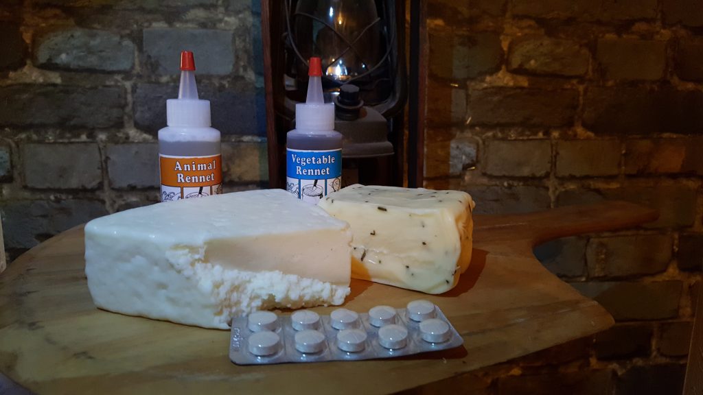 Vegetable vs. Animal in Cheese Backyard Goats